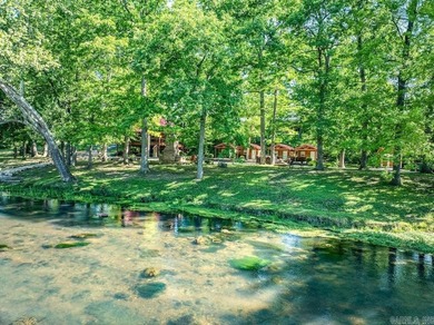 This rare Spring River property near Mammoth Spring offers - photo 3