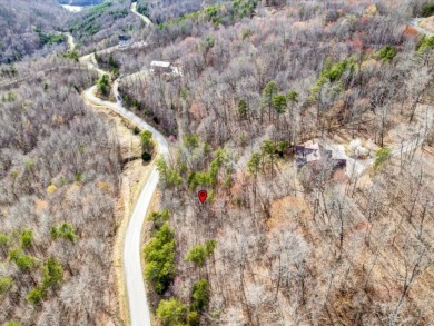 Almost 1 acre Lot with Norris Lake Access - photo 7