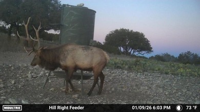 (private lake, pond, coastal) Acreage For Sale in Rocksprings Texas