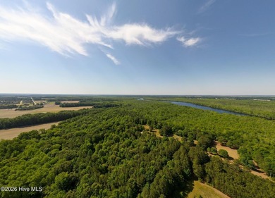 Beautiful lot peaceful and private 211 plus acre lot with over - photo 11