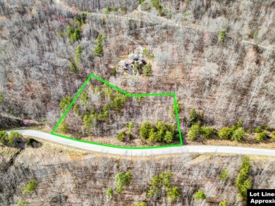 Almost 1 acre Lot with Norris Lake Access - photo 5