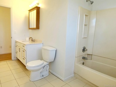 Newly Renovated Victorian with 4 Bedrooms/ 2.5 Baths, Full - photo 29