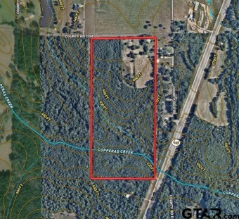 Lake Palestine Acreage For Sale in Flint Texas
