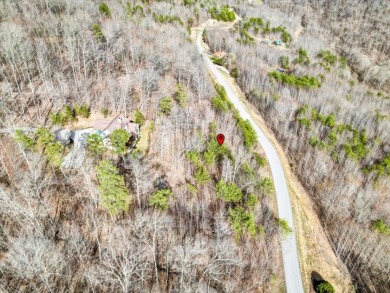 Almost 1 acre Lot with Norris Lake Access - photo 10