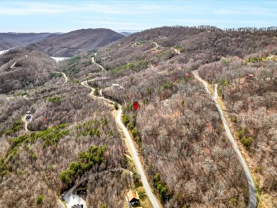 Almost 1 acre Lot with Norris Lake Access - photo 14