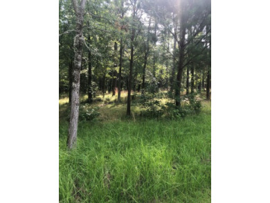 Live The Lake Life! This wooded lot showcases 1.7 acres of land - Lake Lot For Sale in Greenwood, South Carolina