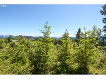 Dorena Reservoir Acreage For Sale in Cottage Grove Oregon
