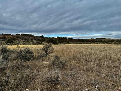 (private lake, pond, creek) Acreage For Sale in Dolores Colorado