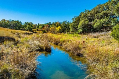 (private lake, pond, coastal) Home For Sale in Fredericksburg Texas