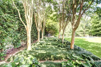 Luxury Waterfront Estate on Cane River Unprecedented excellence - photo 13