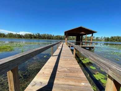 Lake Home For Sale in Donalsonville, Georgia