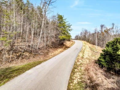 Almost 1 acre Lot with Norris Lake Access - photo 3