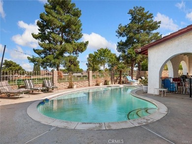 13916 Burning Tree Dr - photo 44