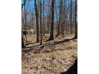 Lake Lot For Sale in Pocono Lake, Pennsylvania