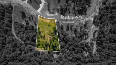 Dreaming of lake life? Lot 53 at Big Rock Lake offers 1.32 acres - photo 13