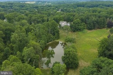 SwanMere Estate | 3050 Aquetong Road | New Hope, PA Some homes - photo 4
