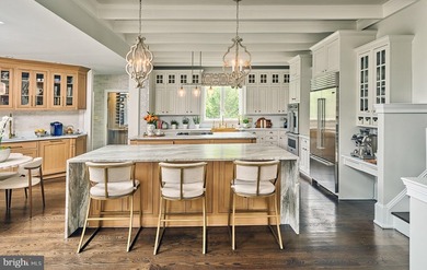 SwanMere Estate | 3050 Aquetong Road | New Hope, PA Some homes - photo 6