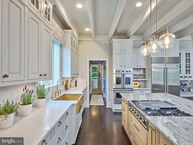 SwanMere Estate | 3050 Aquetong Road | New Hope, PA Some homes - photo 9