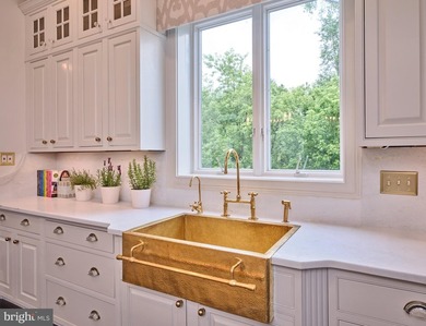 SwanMere Estate | 3050 Aquetong Road | New Hope, PA Some homes - photo 10