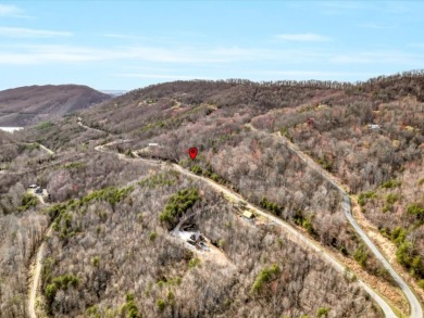 Almost 1 acre Lot with Norris Lake Access - photo 22
