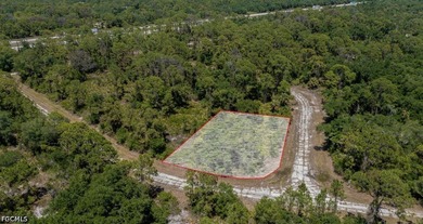 CORNER LOT .27 ACRES IN NORTH PORT - GREAT OPPORTUNITY FOR A - photo 3