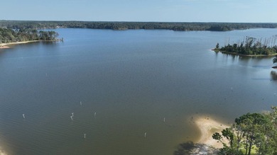 Your Dream Waterfront Retreat on Toledo Bend Lake! Discover your - photo 22