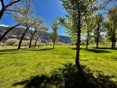 *United RV and Campground* with abundant opportunities and an - photo 30