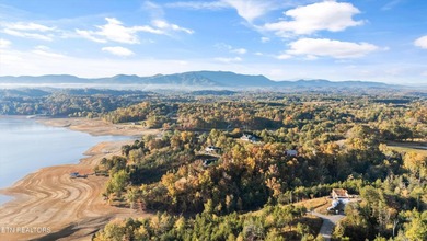 Looking for the ultimate lake life setup? This practically - photo 43