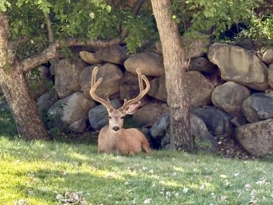 *United RV and Campground* with abundant opportunities and an - photo 50