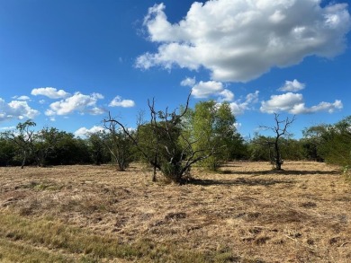 Lake Lot For Sale in Kemp, Texas