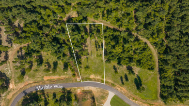 Dreaming of lake life? Lot 53 at Big Rock Lake offers 1.32 acres - photo 4