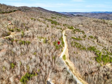 Almost 1 acre Lot with Norris Lake Access - photo 18