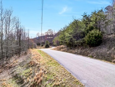 Almost 1 acre Lot with Norris Lake Access - photo 2