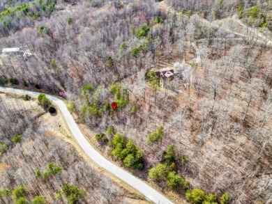 Almost 1 acre Lot with Norris Lake Access - photo 8