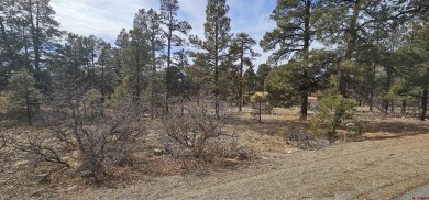 Pinon Lake Home For Sale in Pagosa Springs Colorado