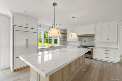 Stunning New Construction in Westhampton with Rare 2 Story 4 - photo 14