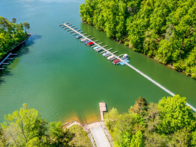 Almost 1 acre Lot with Norris Lake Access - photo 23