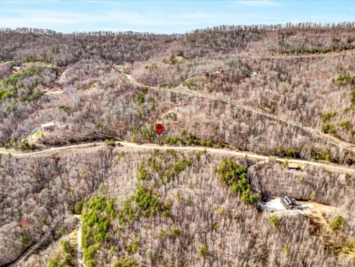 Almost 1 acre Lot with Norris Lake Access - photo 16
