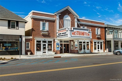 Stunning New Construction in Westhampton with Rare 2 Story 4 - photo 36