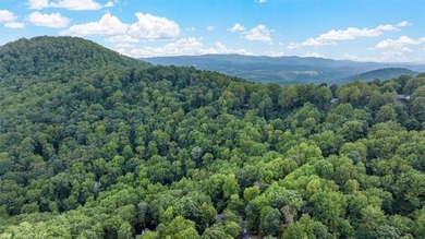 Enjoy mountain living in this beautiful 3-bedroom, 3-bathroom - photo 37