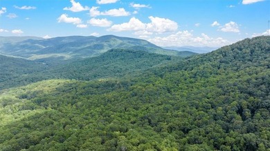 Enjoy mountain living in this beautiful 3-bedroom, 3-bathroom - photo 38
