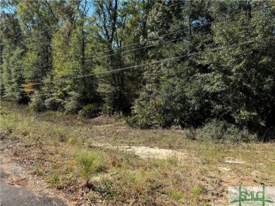 Lake Acreage For Sale in Bloomingdale, Georgia
