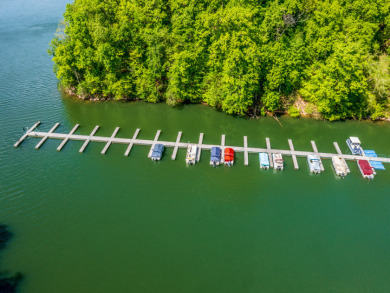 Almost 1 acre Lot with Norris Lake Access - photo 26