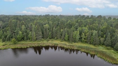 Lake Acreage For Sale in Makinen, Minnesota