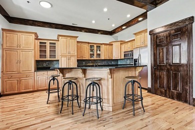 Welcome to Kosciusko Lodge, a truly one of a kind luxury condo - photo 6