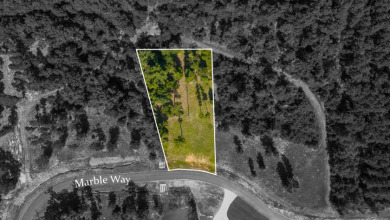 Dreaming of lake life? Lot 53 at Big Rock Lake offers 1.32 acres - photo 5