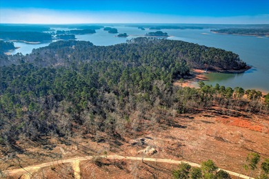 Strom Thurmond / Clarks Hill Lake Lot For Sale in Appling Georgia