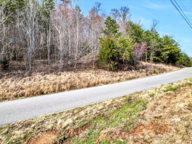 Almost 1 acre Lot with Norris Lake Access - photo 4