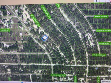 Lake Grassy Lot Sale Pending in Lake Placid Florida