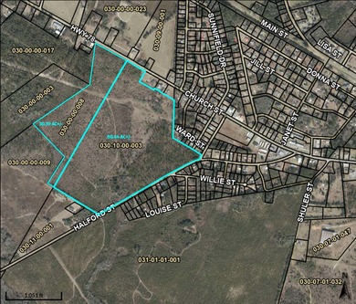 (private lake, pond, coastal) Acreage For Sale in Williston South Carolina